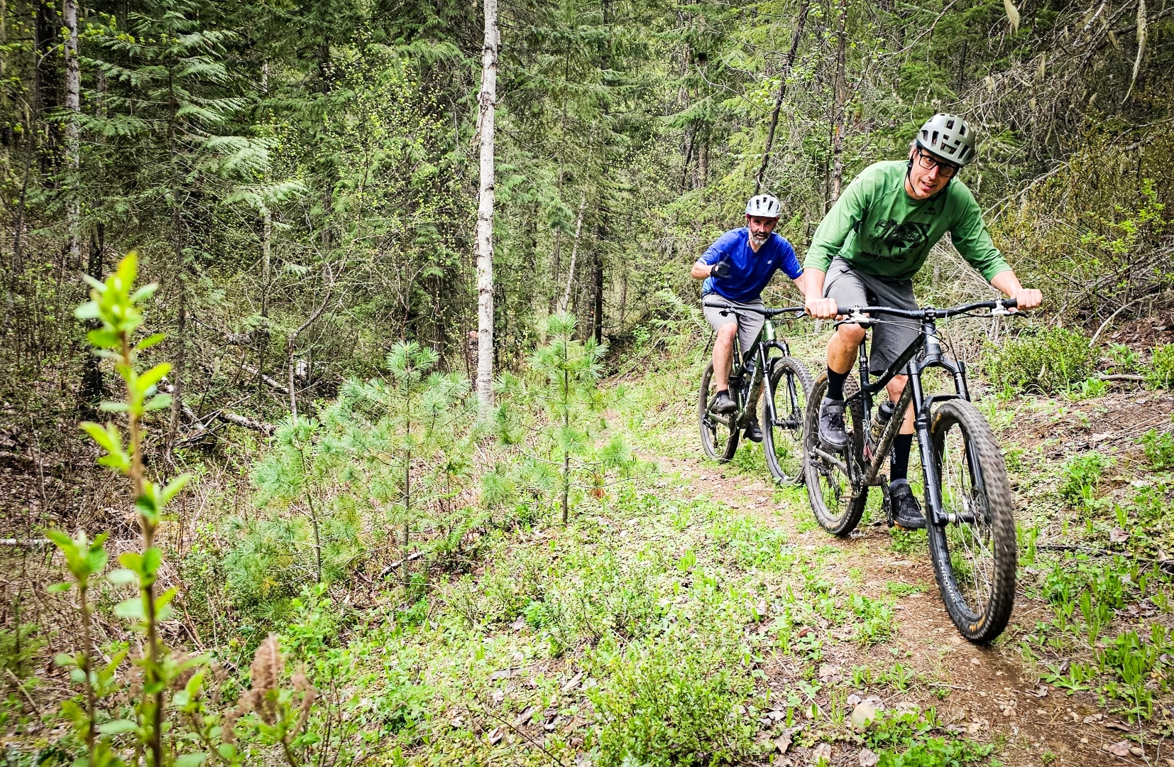 Mountain bikers on a forest trail