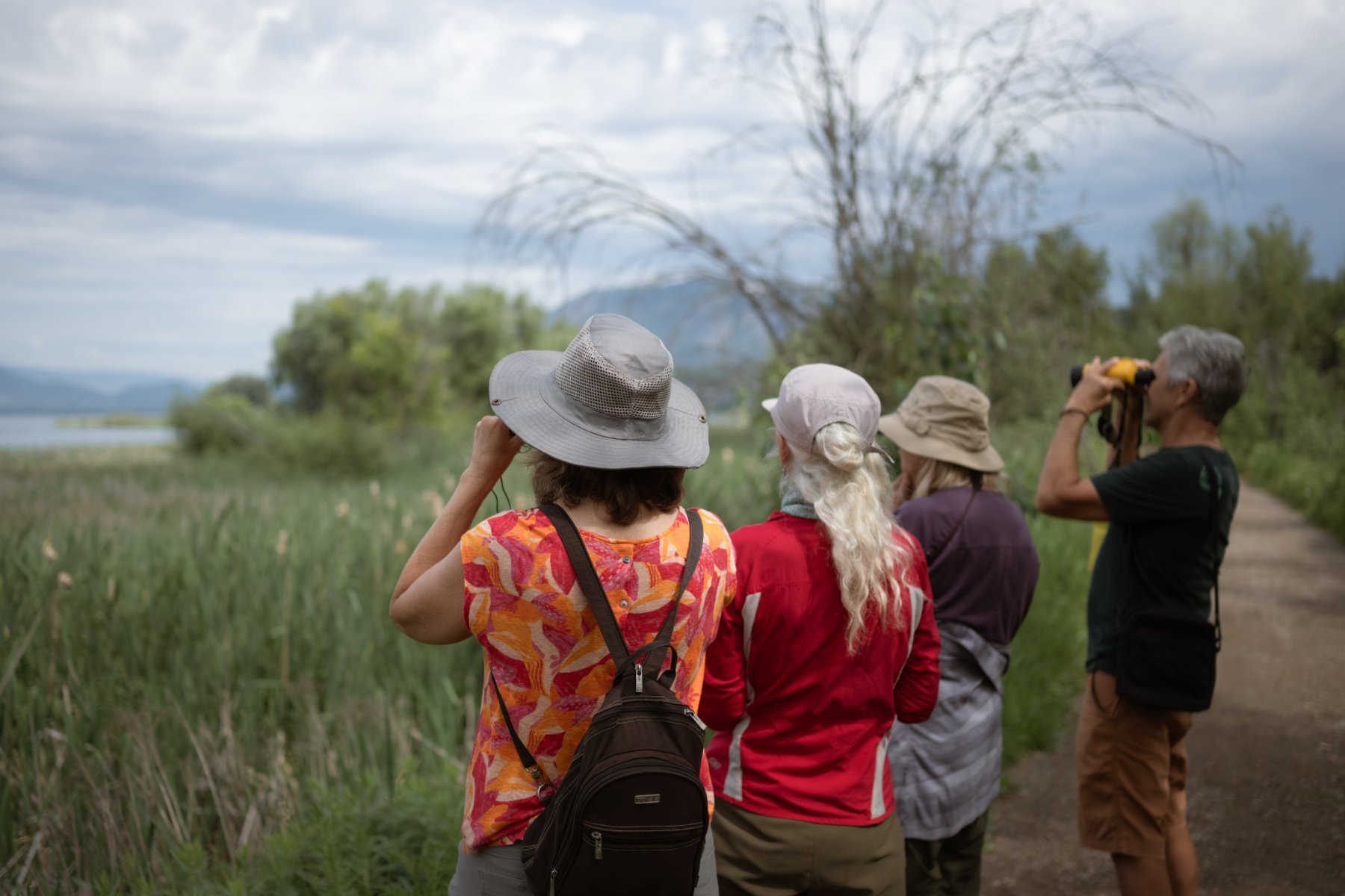 A group of birders scanning the marsh with binoculars on the BC Bird Trail