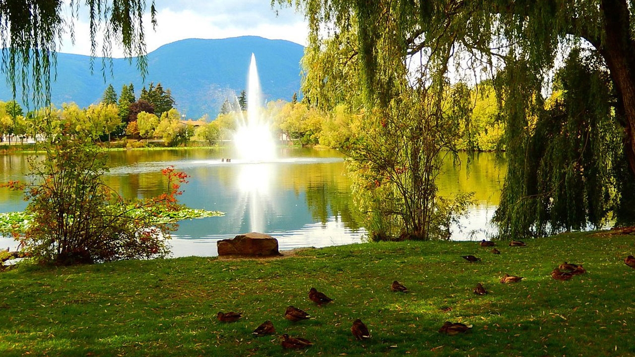 A peaceful walking trail around McGuire Lake