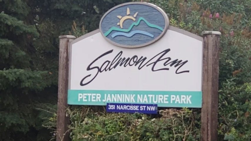 An easy nature trail at Peter Jannink Nature Park