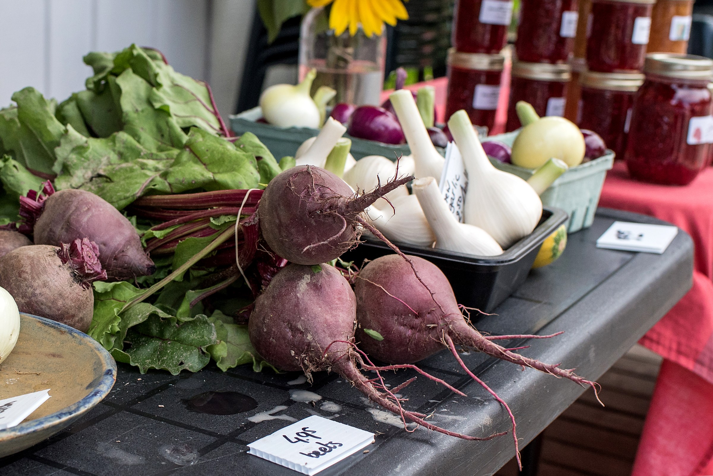 Seasonal produce growing in the fields at Mayfair Farms