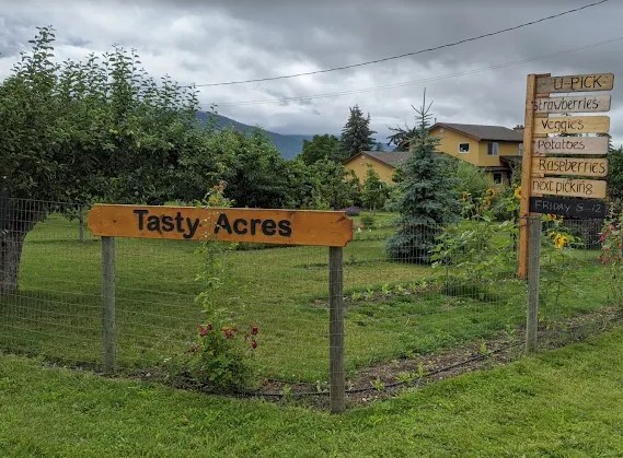 The hand-painted Tasty Acres farm sign beside a u-pick field