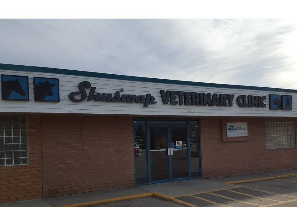 Shuswap Veterinary Clinic in Salmon Arm