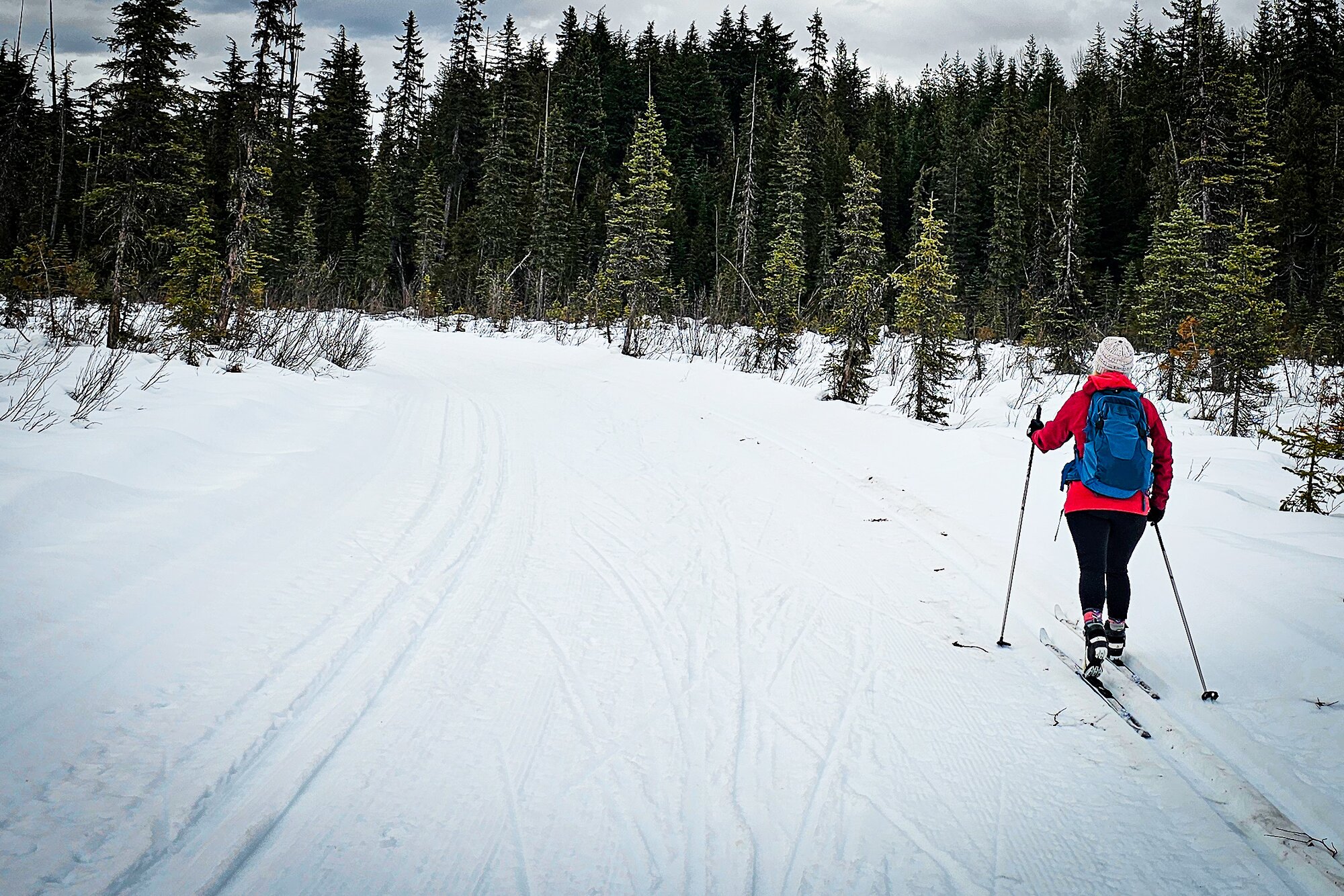 A cross-country skier gliding along a snowy forest trail near Salmon Arm